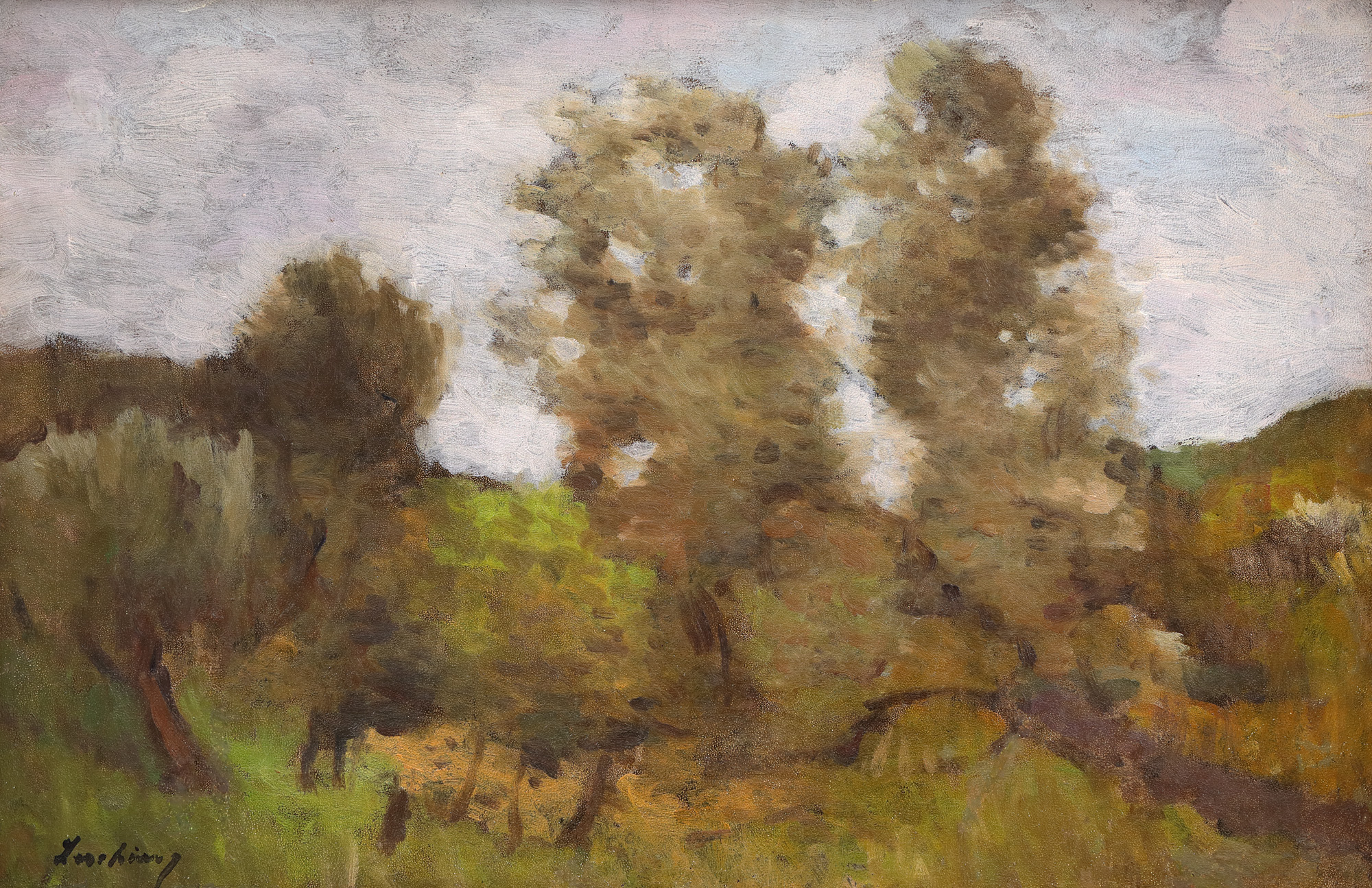 Landscape at Brebu