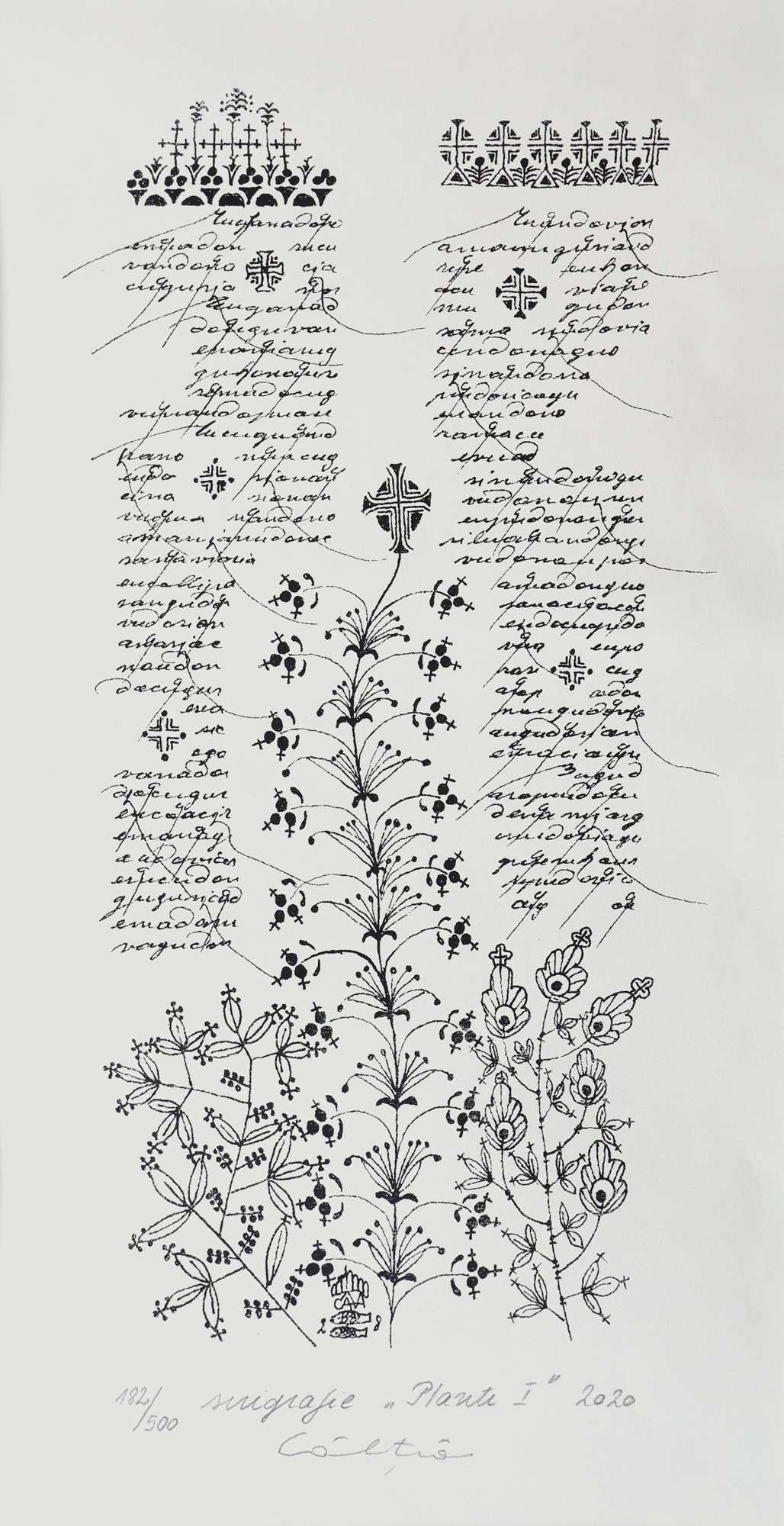 Plants I
