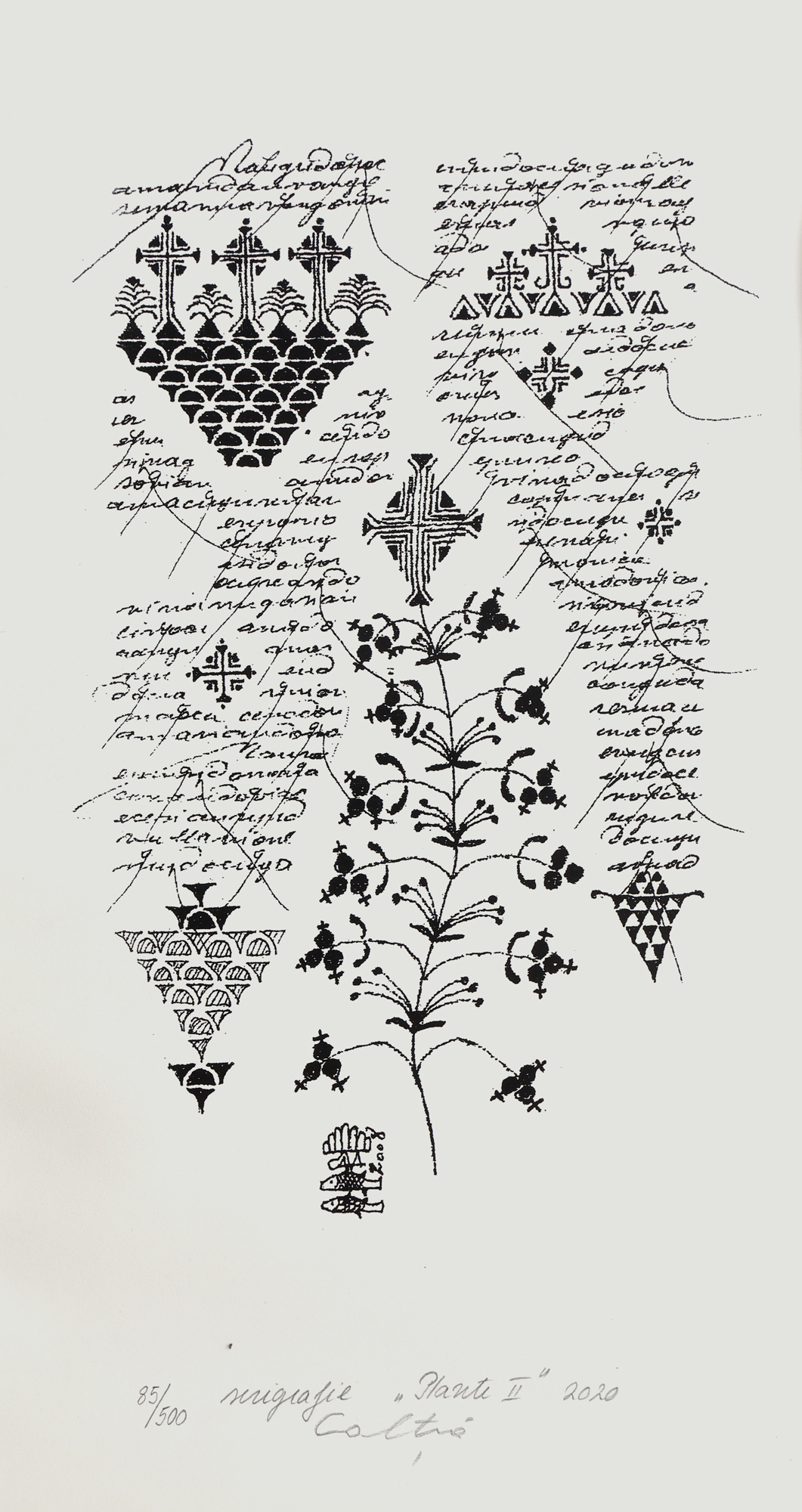 Plante II