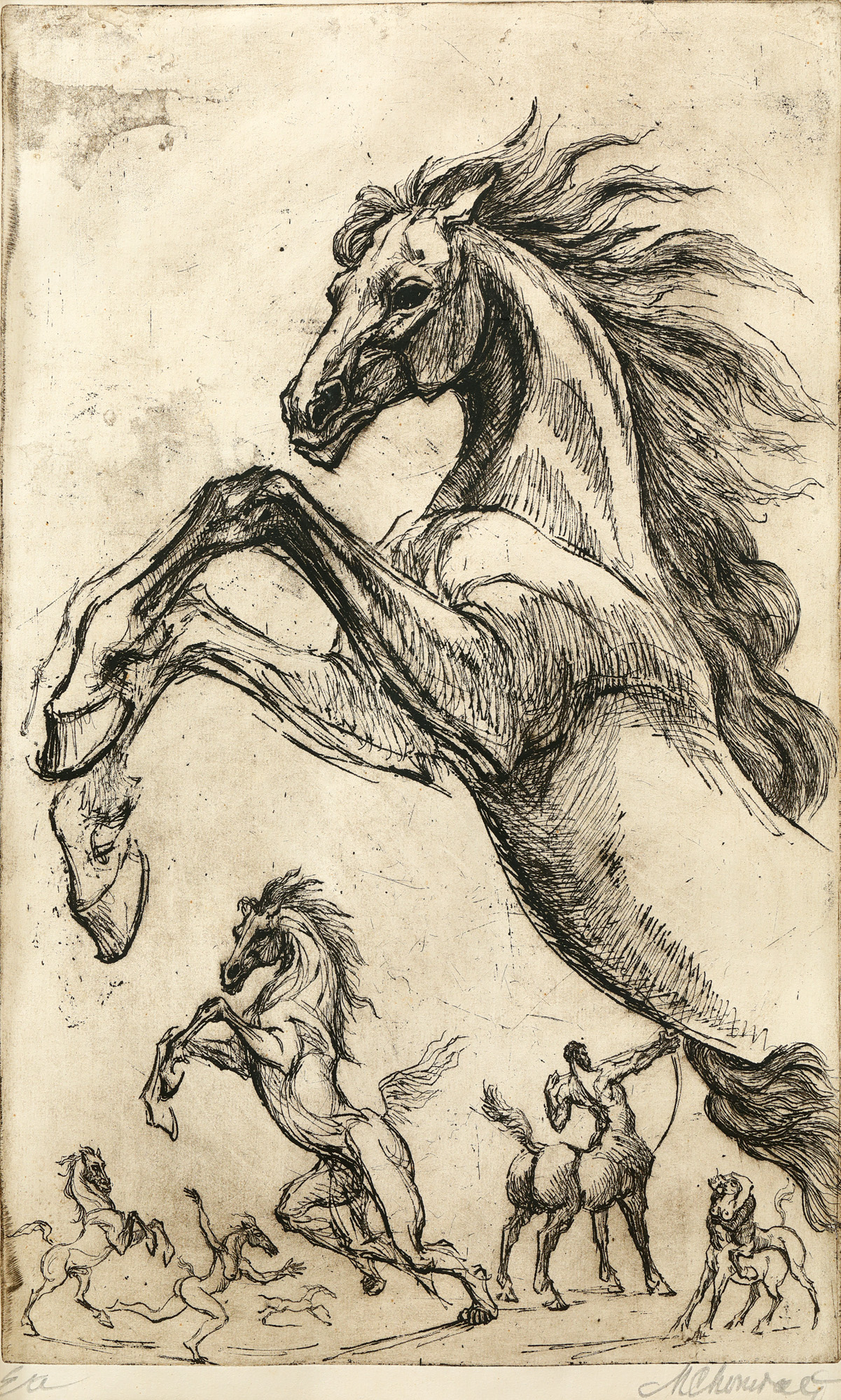 Cavalcadă