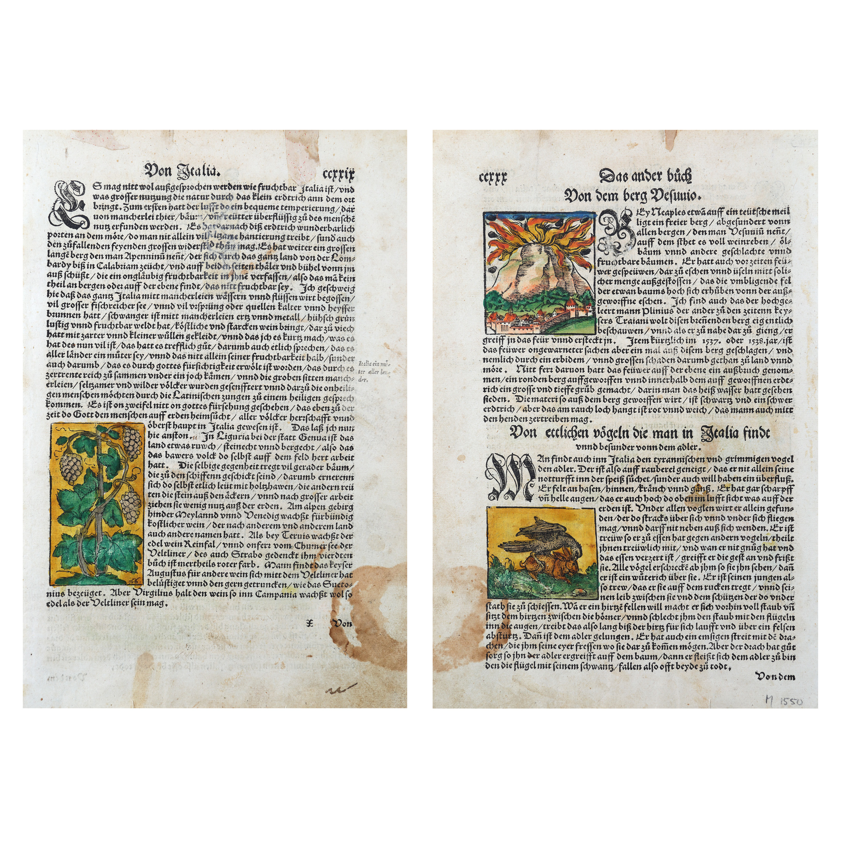 Filă manuscris ”Cealaltă carte a muntelui Vezuviu”, ediție princeps, germană, 1550, cu trei xilogravuri colorate manual după imprimare
