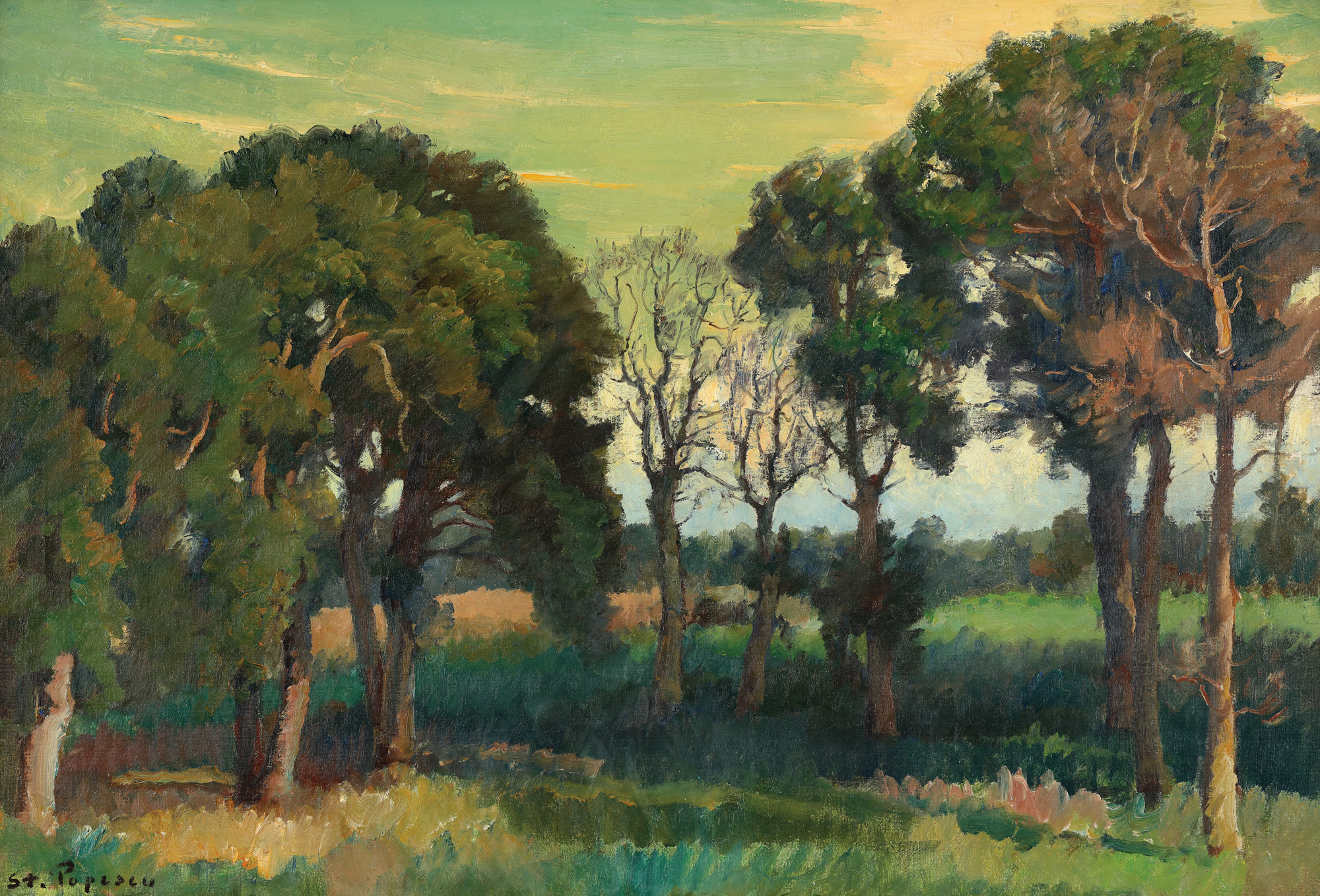Summer Landscape