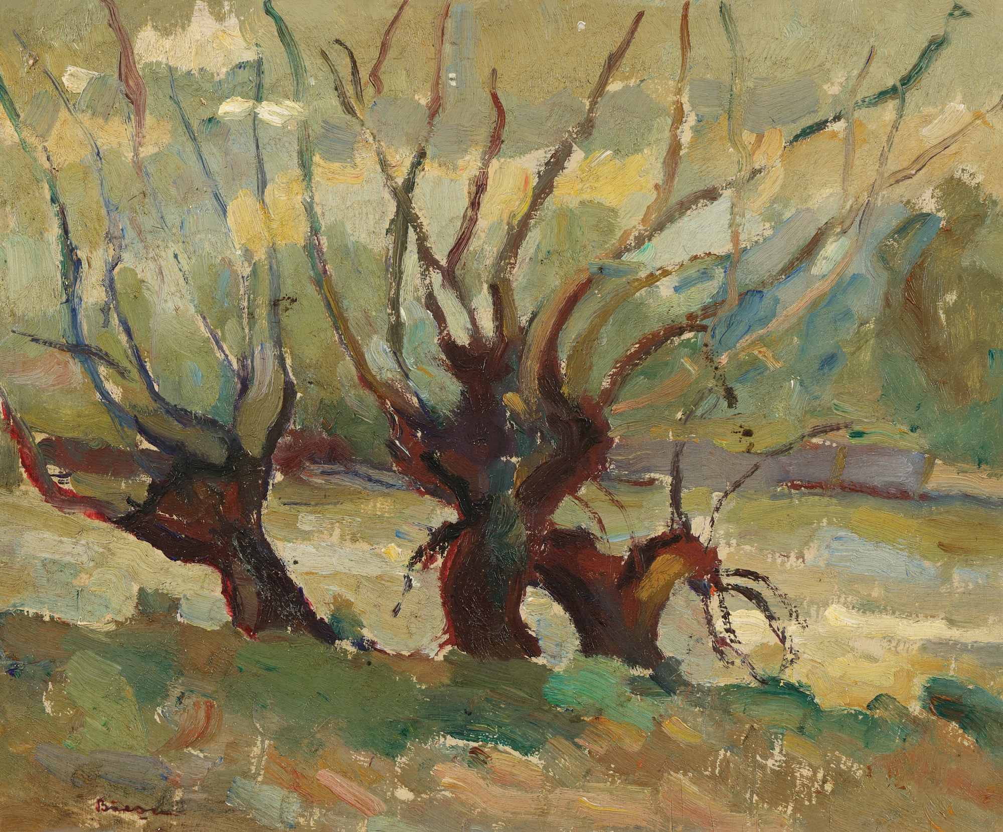 Willows on the Shore