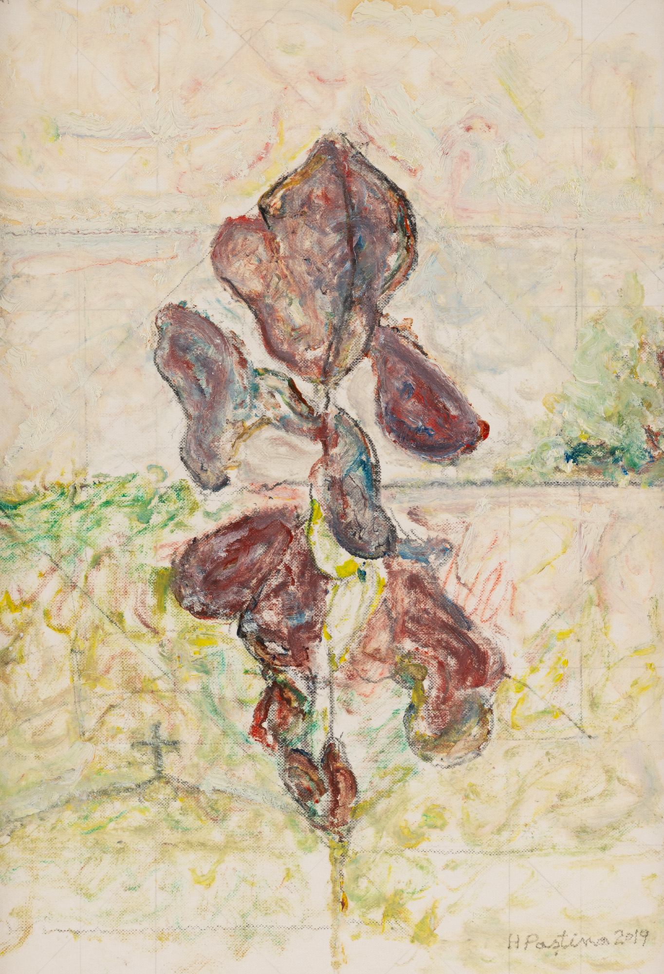 Iris