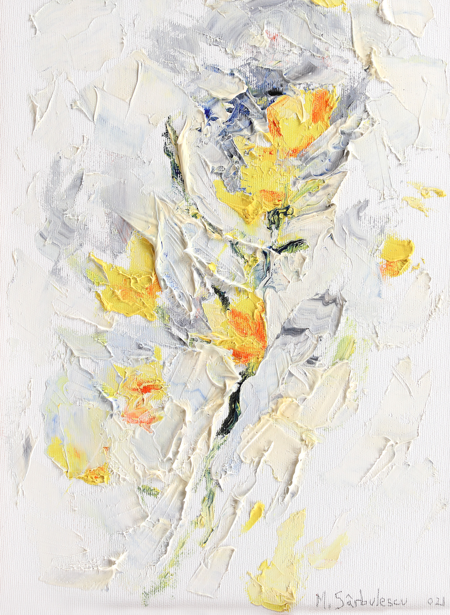 Daffodils