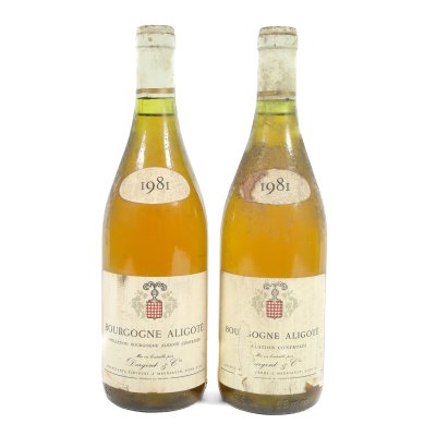 Dargent & cie., Bourgogne Aligoté, 1981, 2st x 0,75l