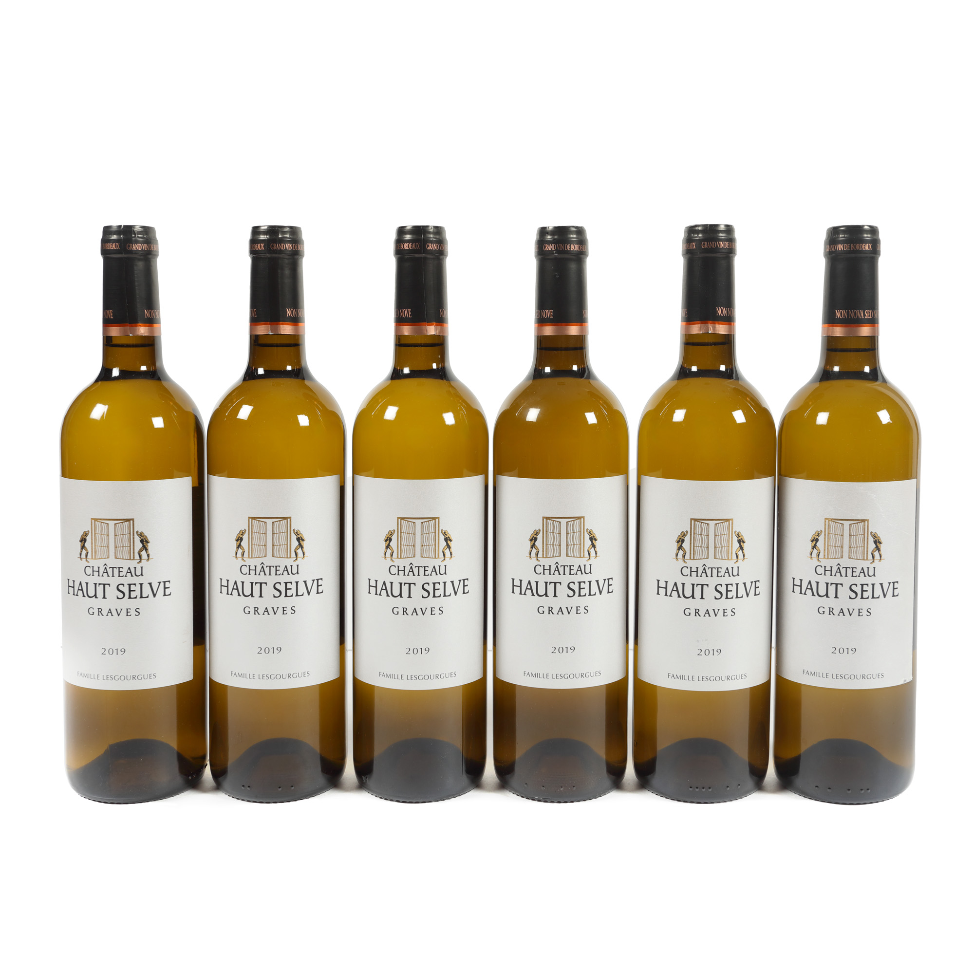 Château Haut-Selve, Graves, 2019, 6st x 0,75l