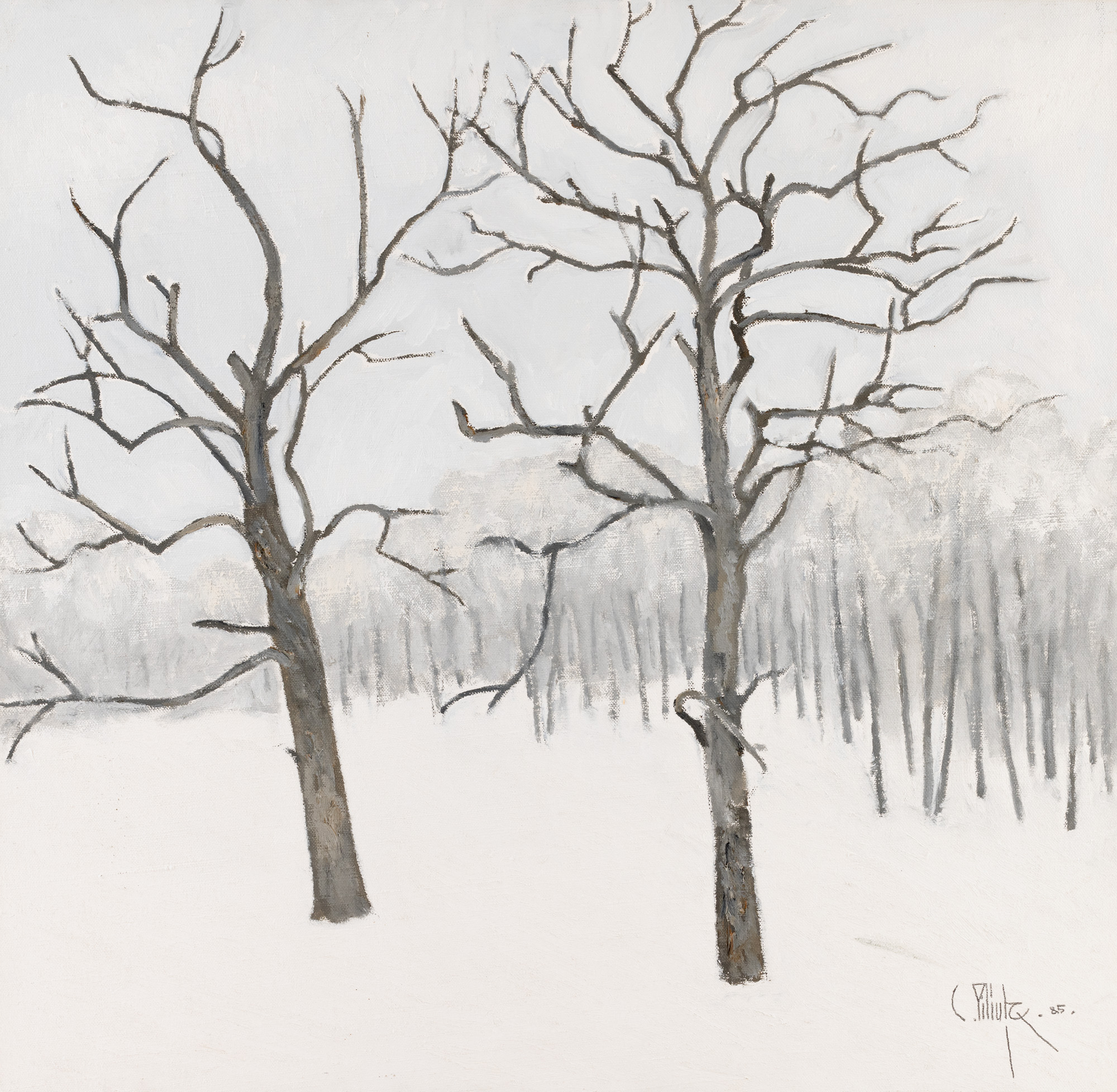 Winter's Quiet