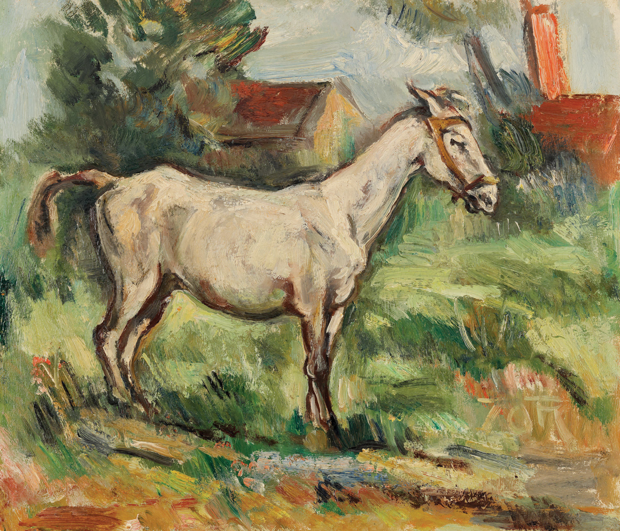 Murgu