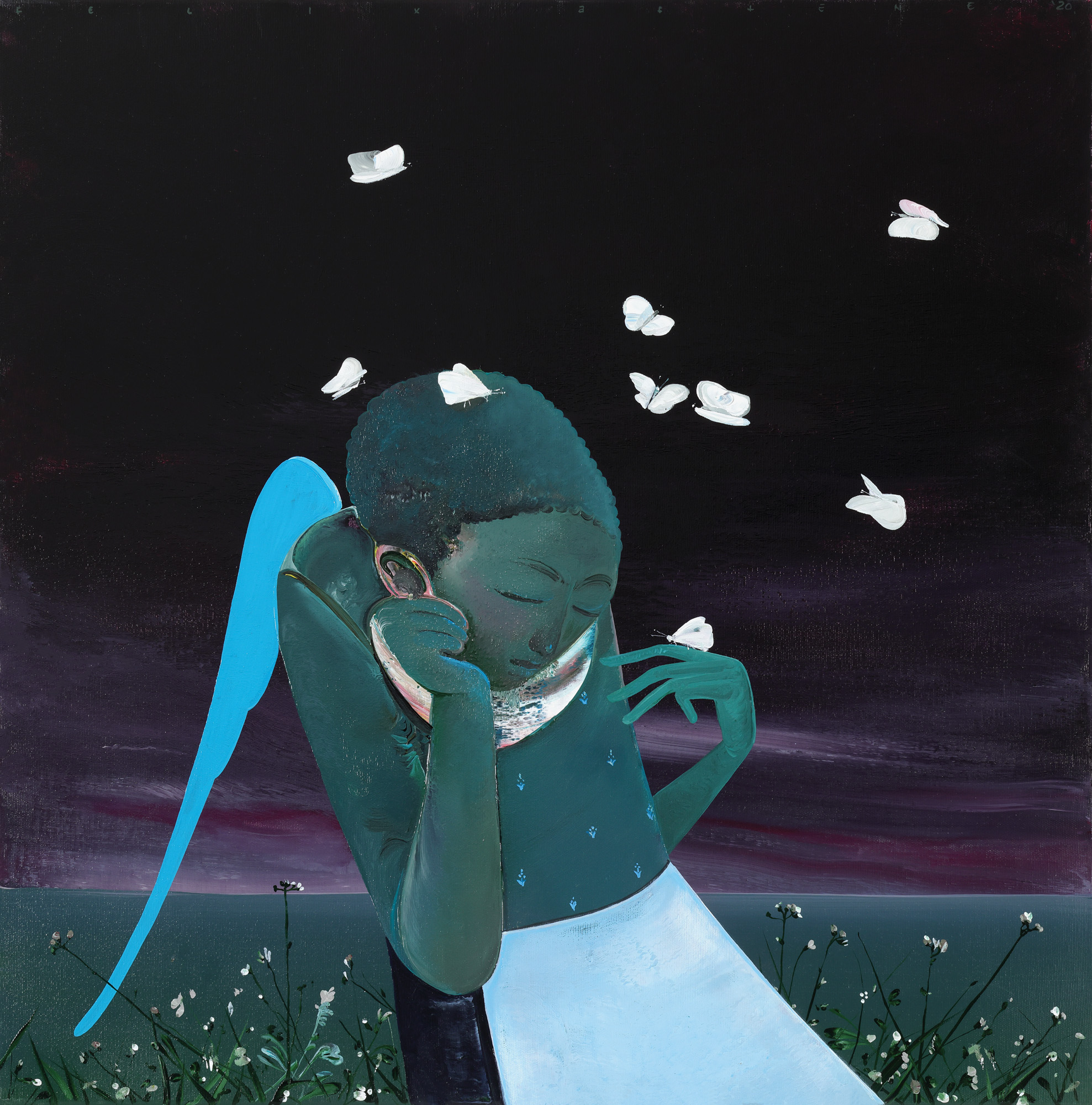 The Butterfly Tamer