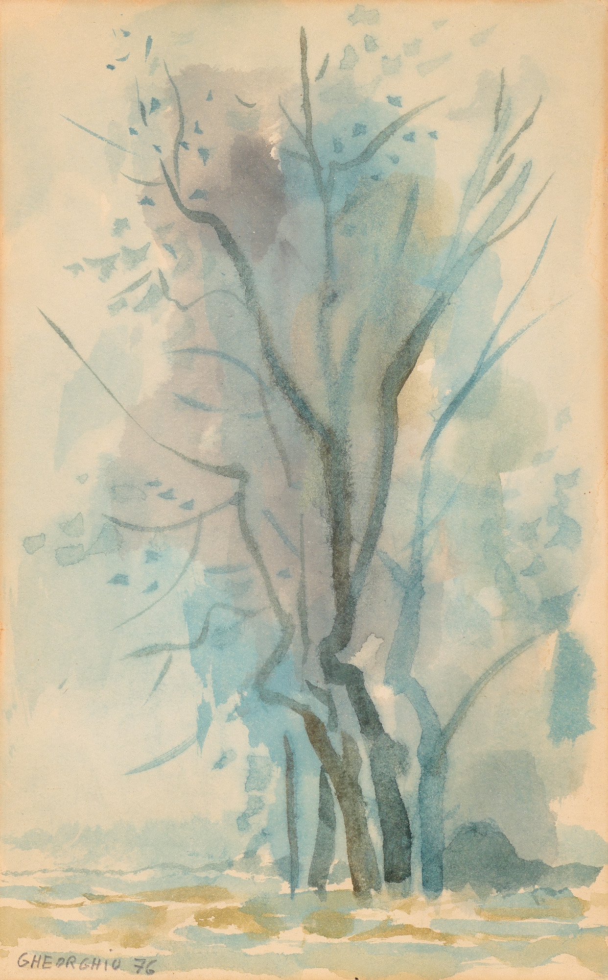 Morning Landscape