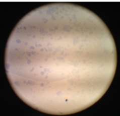 C:\Users\Kuntha\Pictures\lab\IMG_1884.JPG