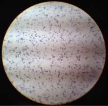 C:\Users\Kuntha\Pictures\lab\IMG_1893.JPG