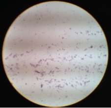 C:\Users\Kuntha\Pictures\lab\IMG_1889.JPG