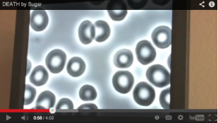 Macintosh HD:Users:hs32:Desktop:healthy blood.tiff