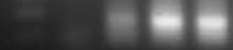 C:\Users\Maryam\Desktop\Administrator 2002-01-01 07hr 27min.jpg