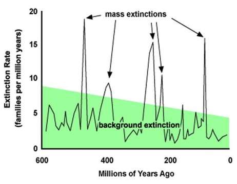 http://www.mtholyoke.edu/%7Ewilli29m/classweb/econ/pics/extinction%20graph.jpg