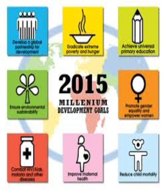 essay about 8 millennium development goals