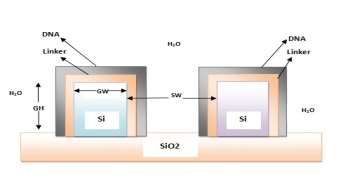 DNAStructure