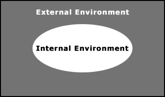 http://www.occupationalperformance.com/wp-content/uploads/2014/01/structure_fig01_large.gif