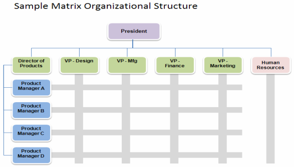 matrix-organizational-structure.gif