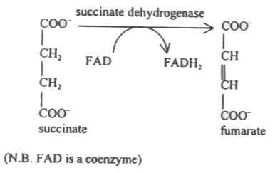 http://www.lungtp.com/enzymes/pic1_e_bfp04.jpg