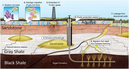 ttp://www.pnas.org/content/111/39/14076/F1.large.jpg