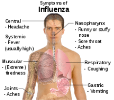 220px-Symptoms_of_influenza_svg.png