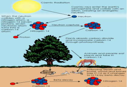 Radiocarbon Dating in Archeology