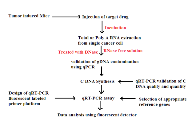 C:\Users\User\Desktop\RDNA FINAL ASSIGNMENT\transcription factor quantification.png