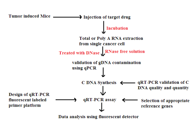 C:UsersUserDesktopRDNA FINAL ASSIGNMENTtranscription factor quantification.png