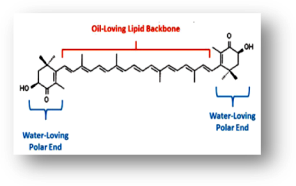 Structure of Astaxanthin