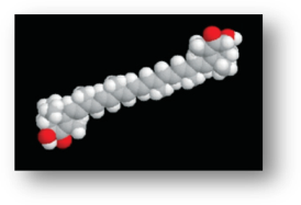 Molecule of Astaxanthin