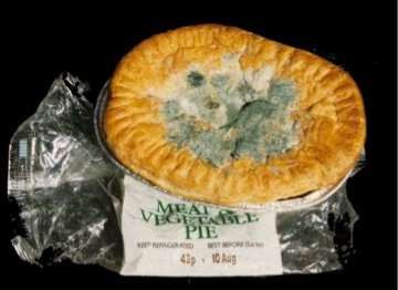 http://www.bristol.gov.uk/sites/default/files/styles/hero_image/public/images/business_in_bristol/statutory_and_regulatory_services/food_services/food_safety/mouldy-pie.jpg?itok=F4P7GxI7