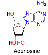 Chemical structure of adenosine