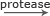http://www.passmyexams.co.uk/GCSE/biology/images/protease_arrow.gif