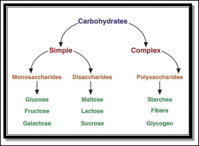 http://2012books.lardbucket.org/books/an-introduction-to-nutrition/section_08/ed929503f6e47180eb307d29ab220c86.jpg