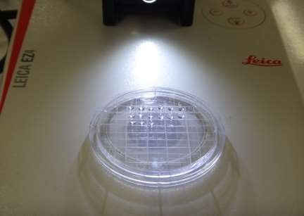 C:\Users\User\Desktop\Research Project\DSC05635.JPG