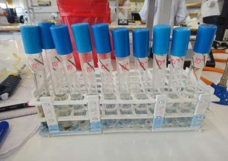 C:\Users\User\Desktop\Research Project\DSC05665.JPG