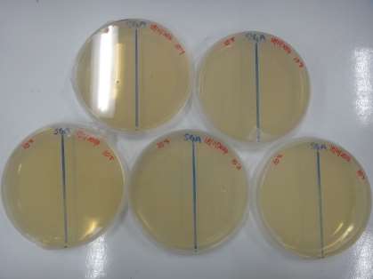 C:\Users\User\Desktop\Research Project\DSC05701.JPG