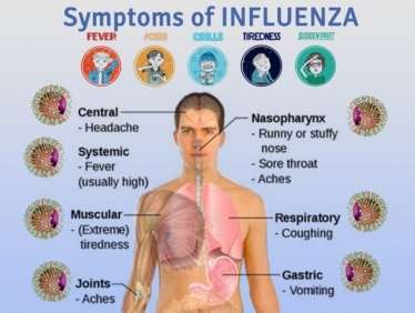 Influenza Vaccine