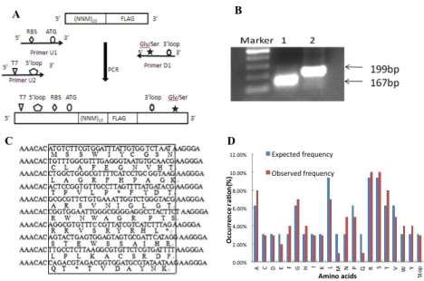 figure2-