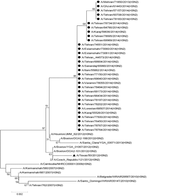 C:\Users\LAWAL ROGO\Desktop\NS-H3N2 Tree (2).tif