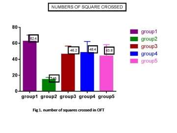 C:\Users\socrates\Desktop\anxiety set\NO OF SQUARES CORSSED.jpg