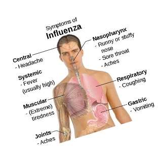 http://www.rugusavay.com/wp-content/uploads/2013/08/influenza.jpg