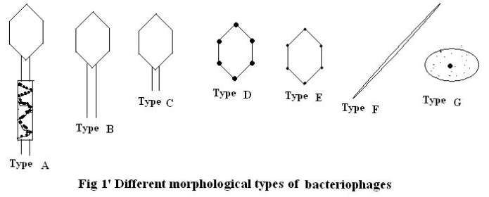http://www.peoi.org/Courses/Coursesen/bot/Resources/image1209.jpg