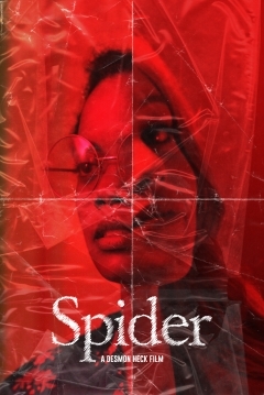 Poster Spider