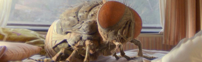 Mandíbulas
