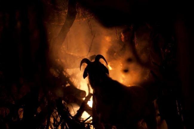 Nuevas imágenes de The Lords of Salem