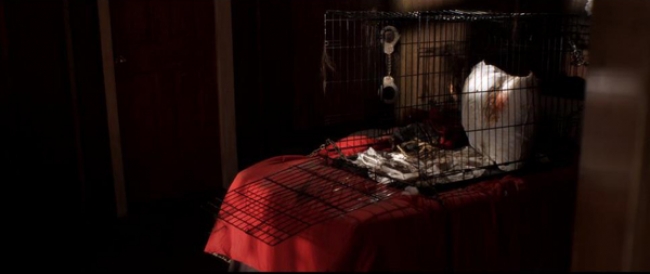 Torture Chamber